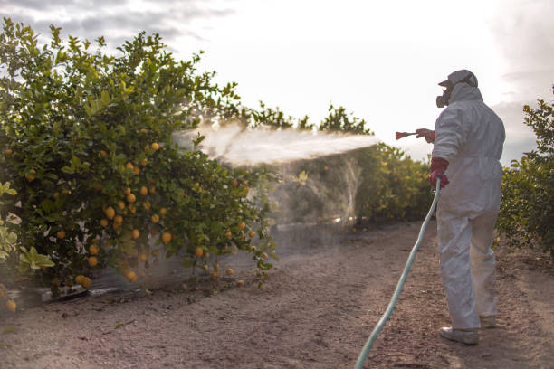 Best Commercial Pest Control Services  in Morgandale, OH
